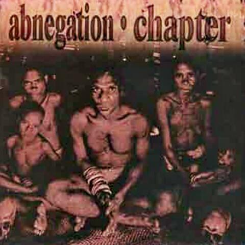 Abnegation (Chapter Split)