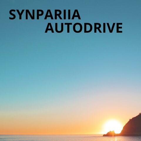 Autodrive