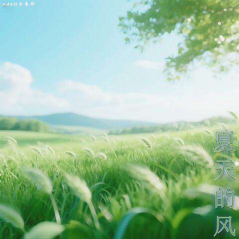 夏天的风