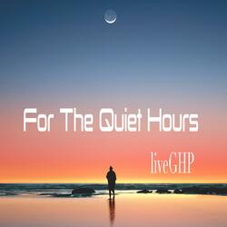 For The Quiet Hours