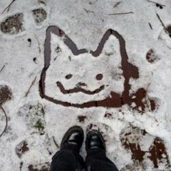 snow (feat. Diegointhedark)