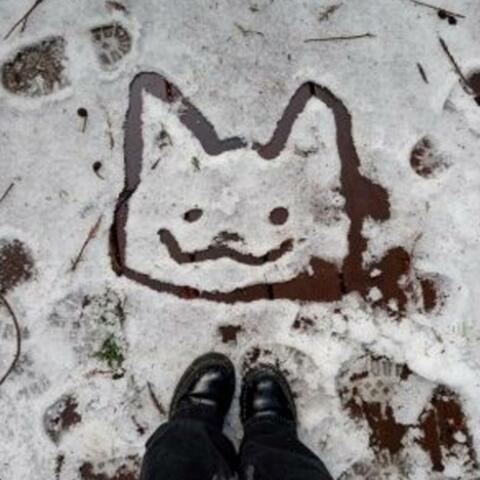 snow (feat. Diegointhedark)