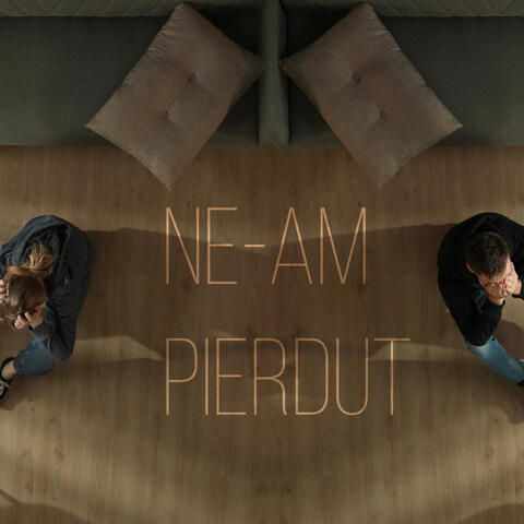 Ne-am pierdut