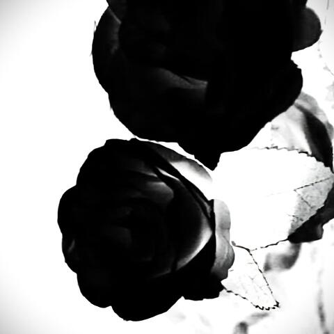 Elif, Thank you for being born