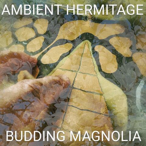 Budding Magnolia