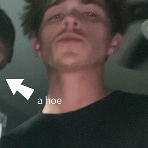 ya i said it