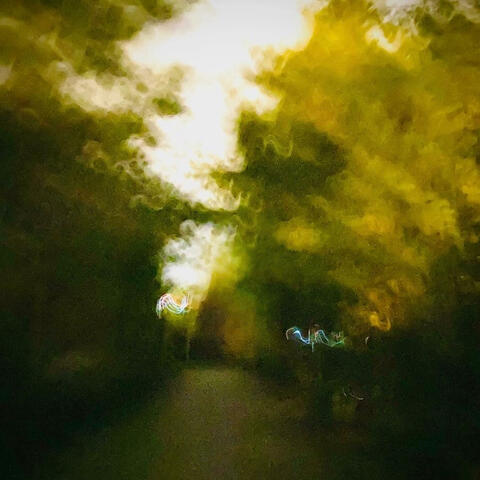 everything