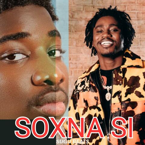 Wally B. seck X VJ (SOXNA SI) instrument type afro beat