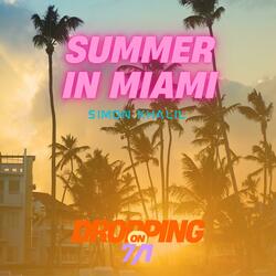Summer In Miami  (Instrumental)
