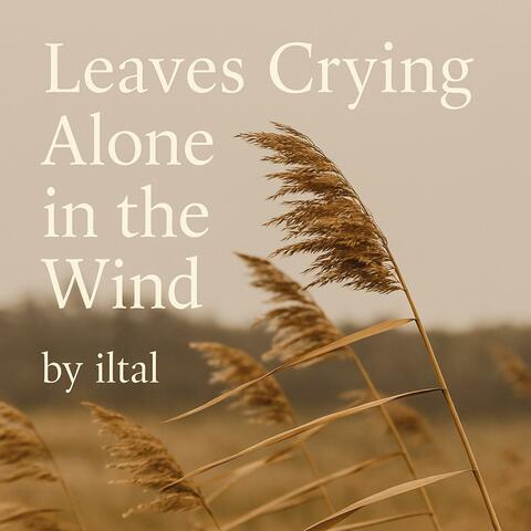 Leaves Crying Alone in the Wind