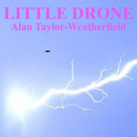 Little Drone