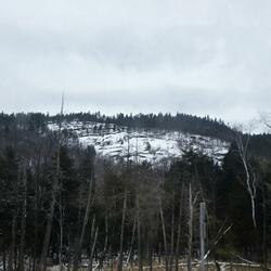 winter's coming to an end, but my depression's still here