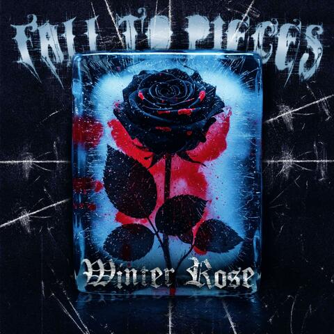 Winter Rose