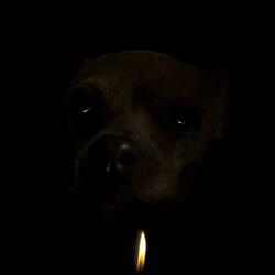 Hatsune Miku (feat. SML Wok Daddy)