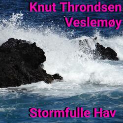 Stormfulle Hav (feat. Veslemøy)