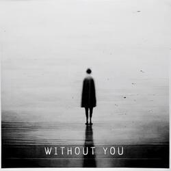 Without You