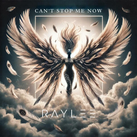 Can`t stop me (Remix)