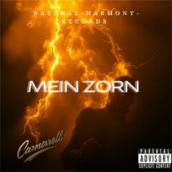 Mein Zorn