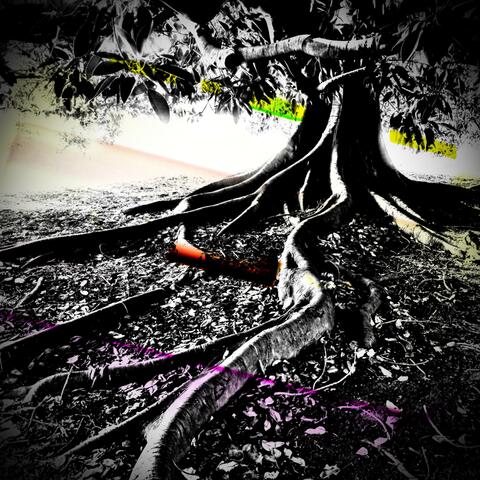 Rebirth In Royal Purple