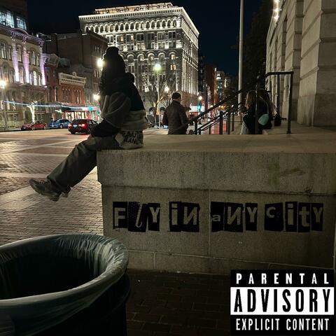 Fly in any city