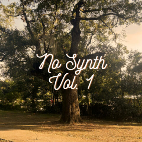No Synth (Vol 1.)