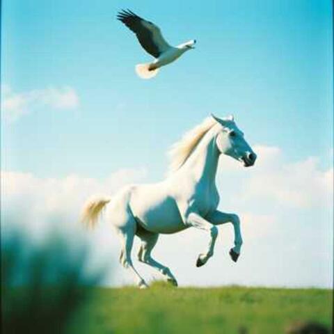 Pegaso