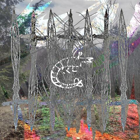 "Holy" b/w Live at the Cathedral of the Enraged Shrympinatum LXIX