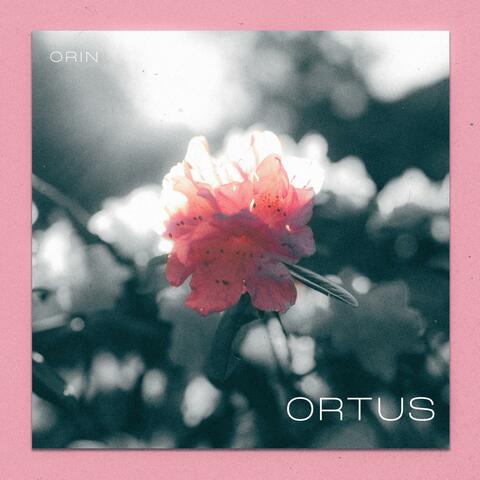 Ortus