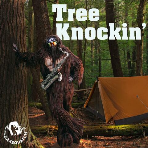 Tree Knockin'
