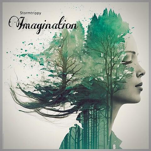 Imagination