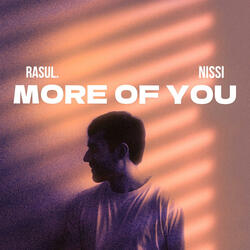 More of You (feat. Niissi)