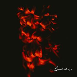 Sonne (Electronica)