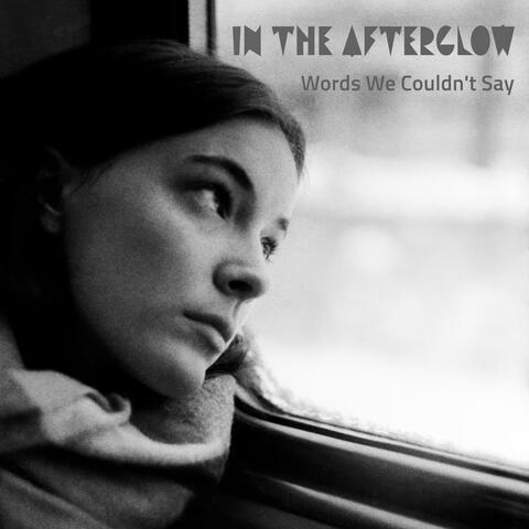 Words We Couldn't Say