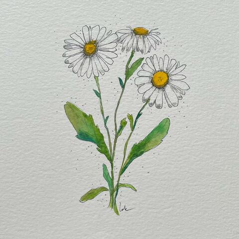 Spring Flowers, Vol. 2