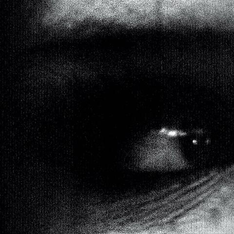 Bleed