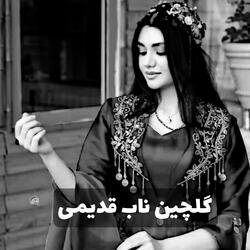 بهترین آهنگ ناب قدیمی
