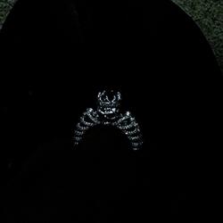 Stoinek, Kounter, Kon Bo Ta Feel Reupload fr