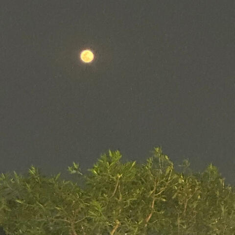 The Beautiful Moon