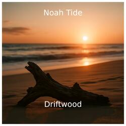 Driftwood