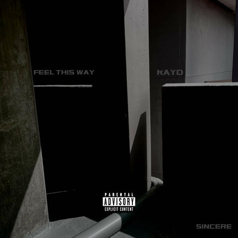 FEEL THIS WAY/KAYD