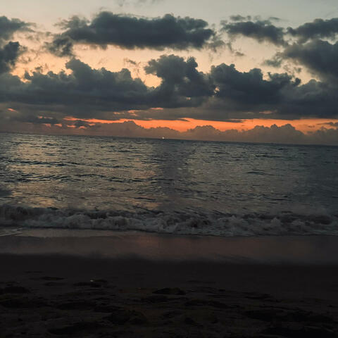 Vine a la playa (Acoustic version)