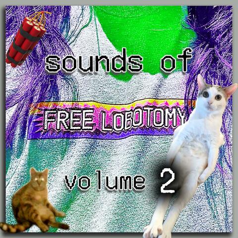 sounds of free lobotomy volume 2