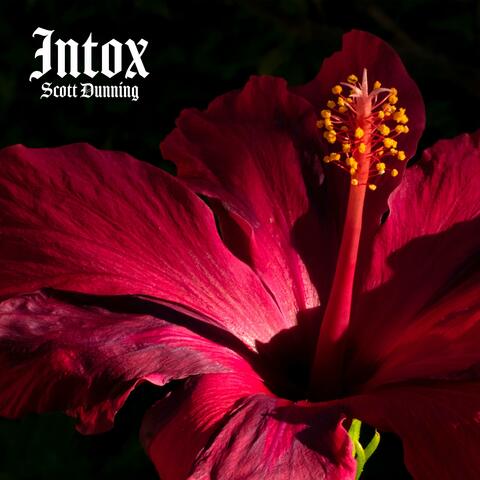 Intox