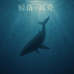 鲸落。沉爱
