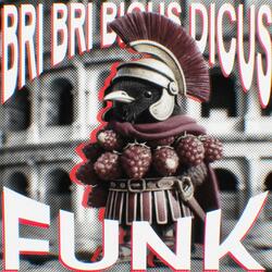 Bri Bri Bicus Dicus FUNK (SPED UP)