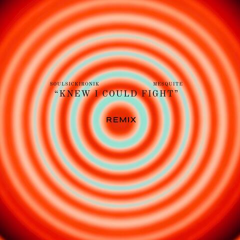 KNEW I COULD FIGHT (REMIX)