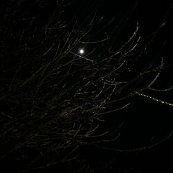 in the cold