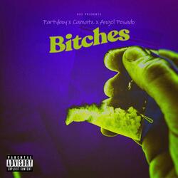 Bitches (feat. Partyboy K & Angel Pesado)