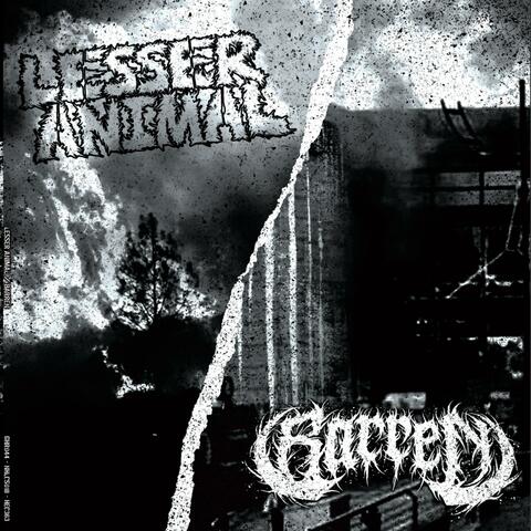 Split with LESSER ANIMAL