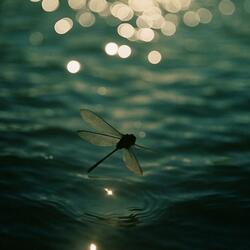 Beautiful Things